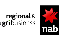 nab55DB6402-287C-D219-0633-D90E9DB6FA19.png